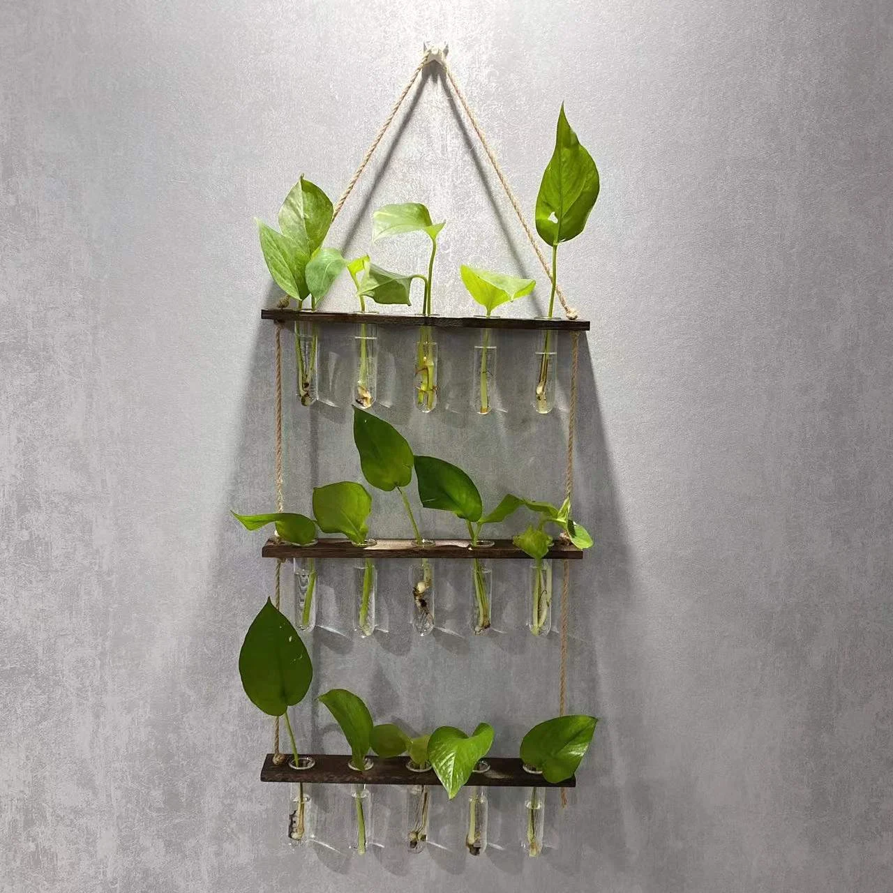 Creative Hydroponics Wall Hanging Vase Vase Test Tube Vase - Image 4