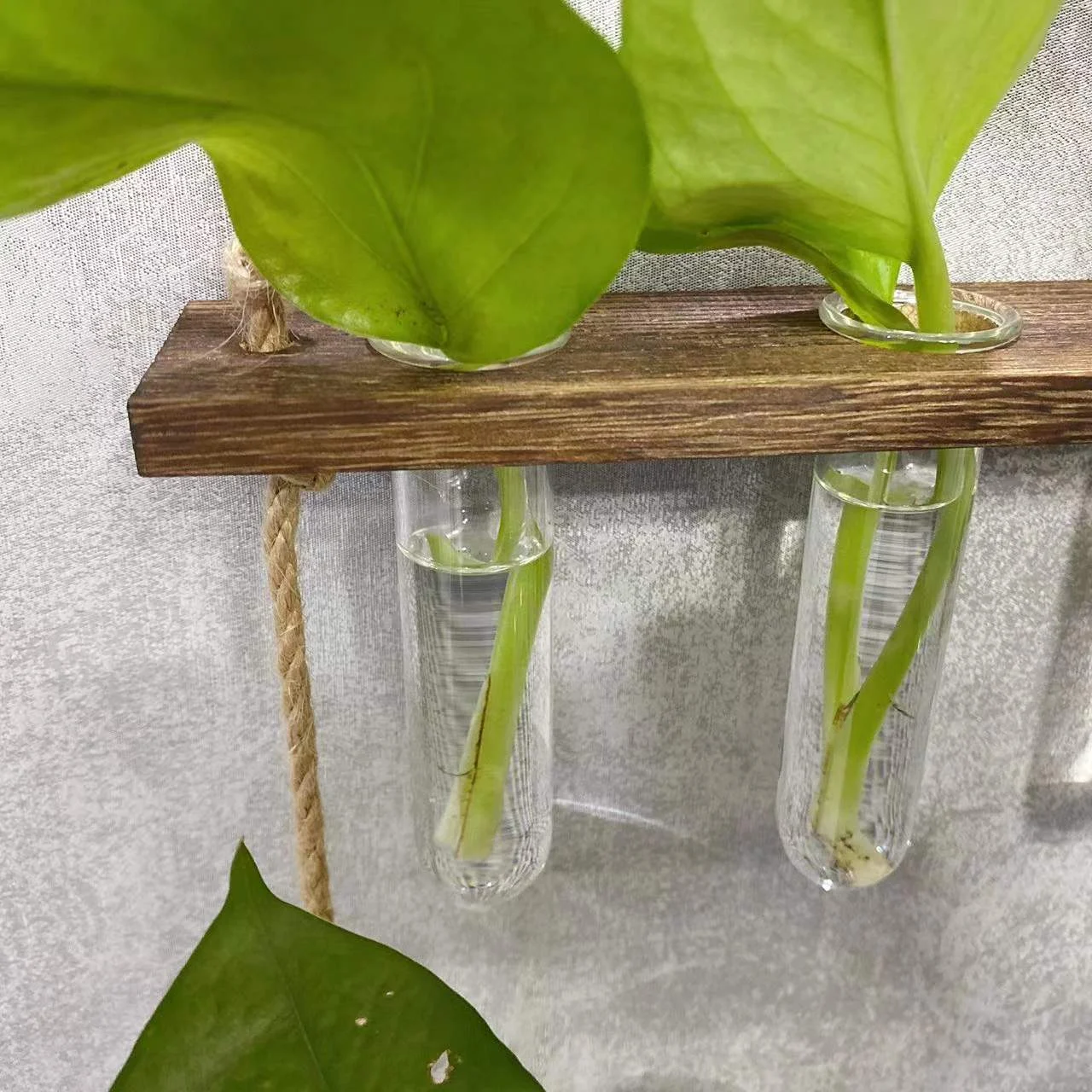 Creative Hydroponics Wall Hanging Vase Vase Test Tube Vase - Image 7