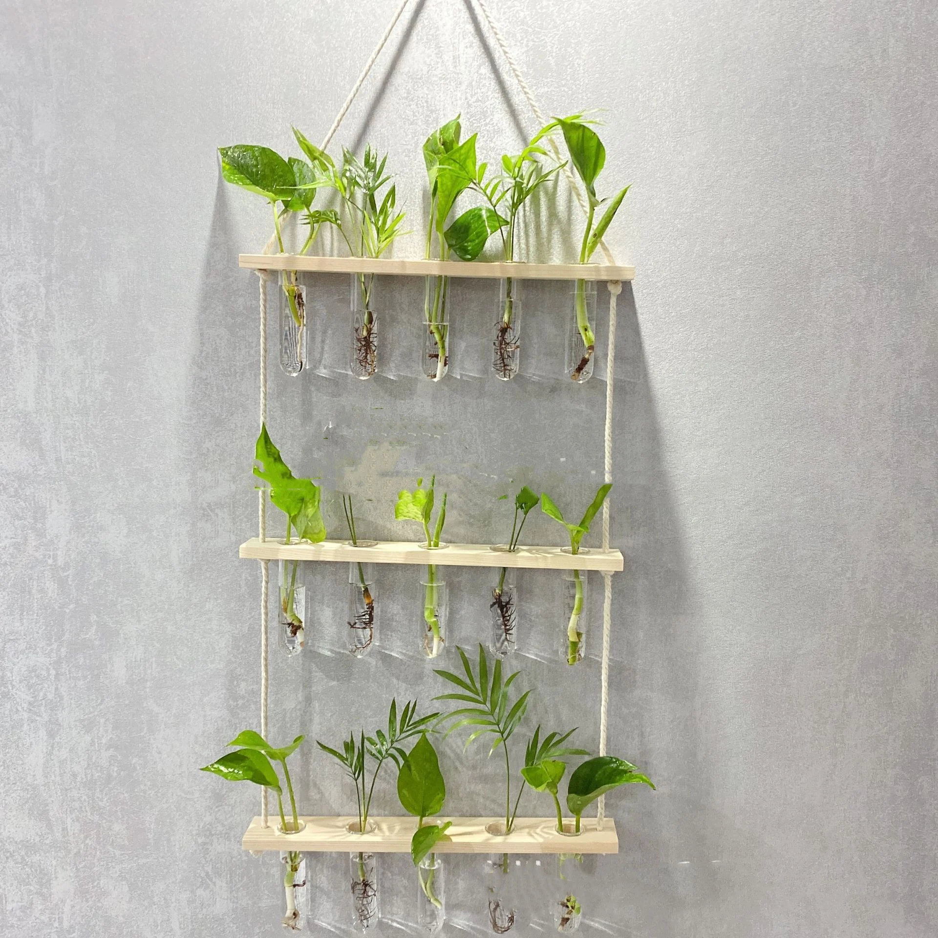 Creative Hydroponics Wall Hanging Vase Vase Test Tube Vase - Image 5