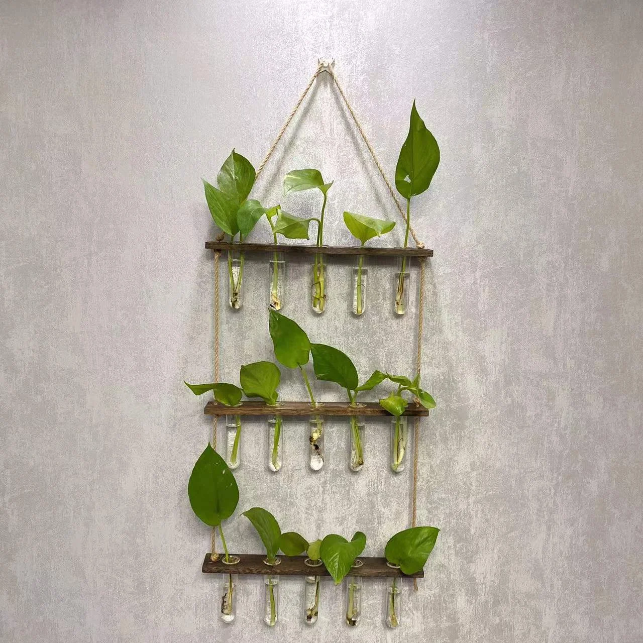 Creative Hydroponics Wall Hanging Vase Vase Test Tube Vase - Image 8